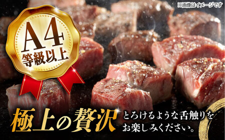 【12回定期便】 飛騨牛 サイコロステーキ 部位おまかせ 1kg A4等級以上  多治見市 / 渡辺精肉店 和牛 ブランド牛 牛肉[TAZ045]