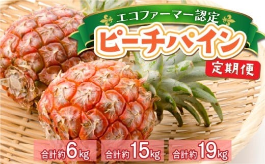 
                  ＜選べる容量＞定期便 2ヶ月 絶品ピーチパイン 約3kg〜9.5kg【E-SOU/Ｅ】 2026年 先行予約 西表島 初エコファーマー認定 パイン 果物 フルーツ 2回 お楽しみ　【036-a003/036-a006/036-a009】
                