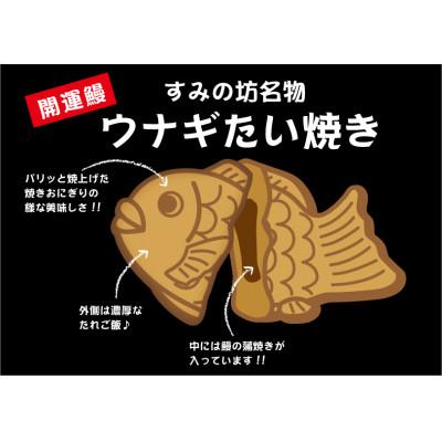 ふるさと納税 御殿場市 すみの坊のうなぎ鯛焼き(5個入) |  | 03