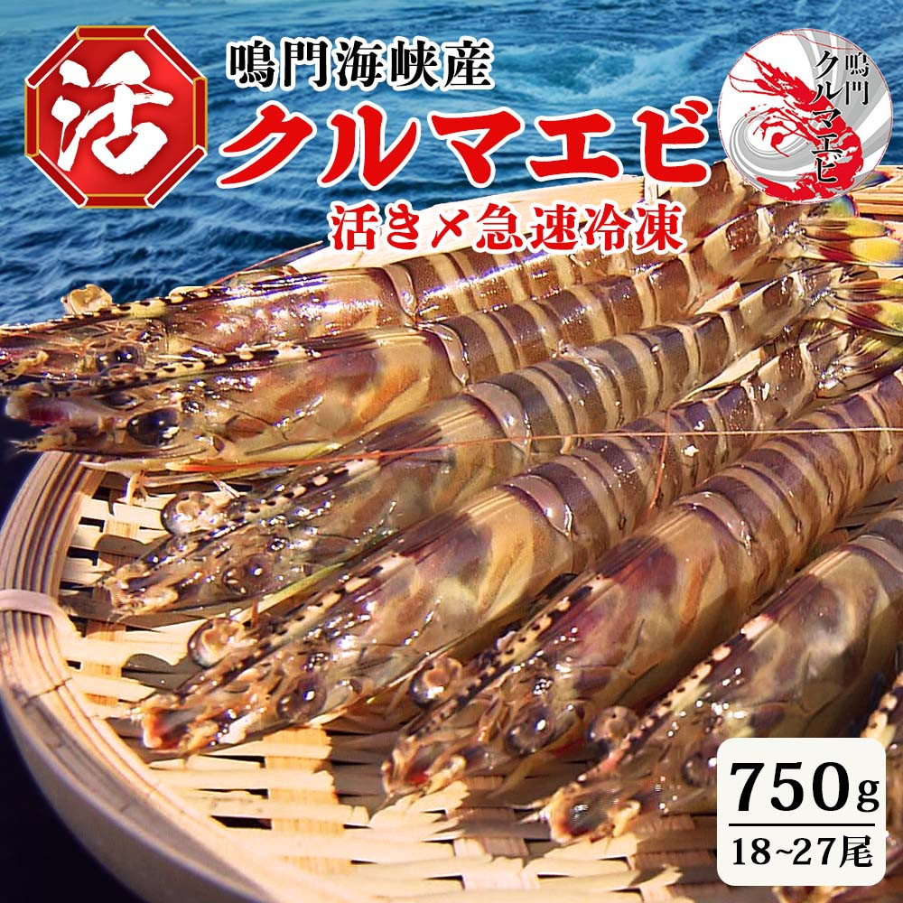 
            【予約受付中・10月頃より順次発送】活〆 急速冷凍 クルマエビ 750g　【冷凍発送】
          