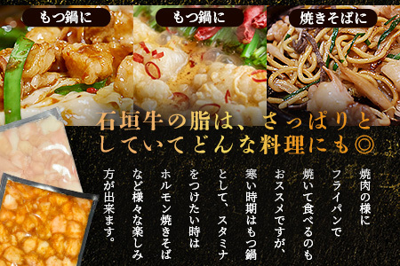 希少な特選石垣牛のホルモンをご家庭で！！マルチョウ300g×4パック 秘伝の味噌味とプレーンの食べ比べセット【 沖縄 石垣 和牛 石垣牛 希少 特選 肉 味噌 みそ 味付 ホルモン マルチョウ 冷凍 