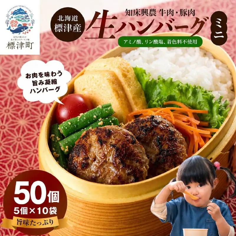 生ハンバーグミニ 50個セット(5個×10パック) ハンバーグ 【AC】