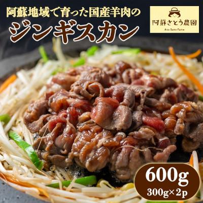 ふるさと納税 阿蘇市 阿蘇地域で生産した貴重な国産羊肉のジンギスカン 600g(300g×2パック)