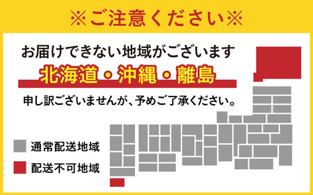 【先行予約】大野市の名水を使った冬限定の「でっち羊かん」（手作り菓子工房 豊栄堂の水ようかん）小サイズ（580g）×2箱【11月以降順次発送】