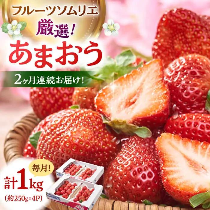 【全2回定期便】福岡産【春】いちご あまおう4パック 桂川町/南国フルーツ株式会社 [ADBW042] あまおう 苺 イチゴ あまおう 定期便