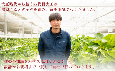 【本州限定】滋賀県オリジナルいちご「みおしずく」