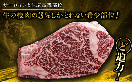 宮崎牛ヒレブロック500g_AI-8904_(都城市) 宮崎県産 宮崎牛 真空パック ヒレブロック 高級部位 枝肉の3％ 希少な部位 やわらか 脂肪分が少ない お好みサイズ カット