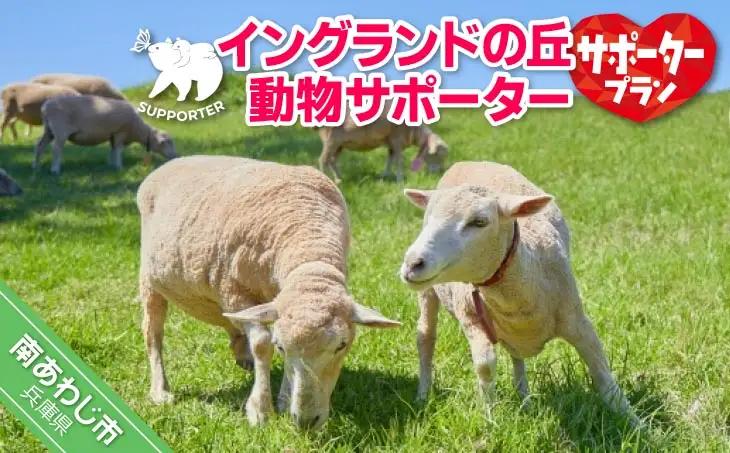 【イングランドの丘】動物サポーター《サポータープラン》
