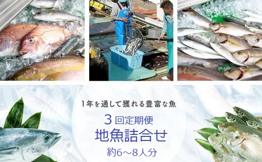 【D09002】【3回定期便】魚屋さんの選んだ新鮮お魚詰め合わせ（約6~8人分）