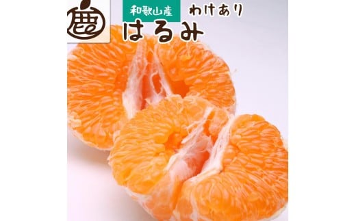 ［先行予約］家庭用 はるみ1kg+250g（傷み補償分）［デコポンの姉妹品種・新食感春みかん］［光センサー選別］［わけあり・訳あり］［IKE91］