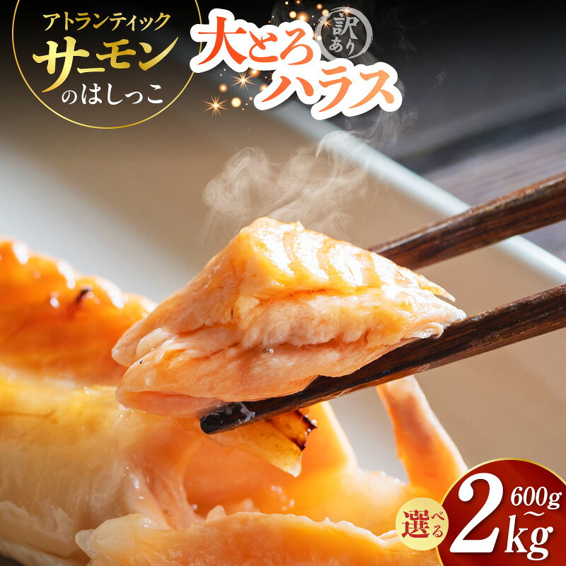 【ふるさと納税】【訳あり】 サーモン 大とろハラス 選べる容量 600g ～ 2kg 小分け 冷凍 昆布塩加工 焼魚 惣菜 魚介類 鮭 海鮮 おかず 弁当 朝食 夕食 グルメ 食材 食品 お取り寄せ ハラス 腹ヒレ 大阪府 泉佐野市 送料無料