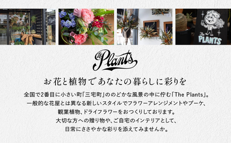 ドライフラワー【額】花束 ギフト アレンジメント オリジナル おしゃれ The Plants