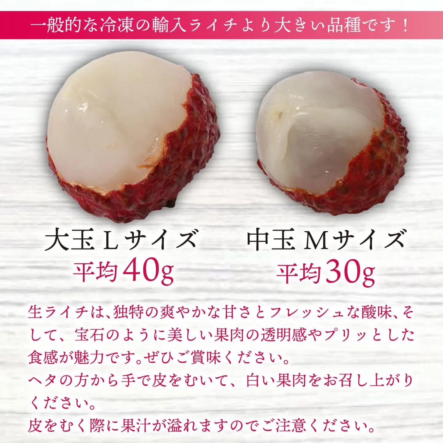 【令和8年6月上旬頃より発送】先行予約 お試しパック 生ライチ 国産