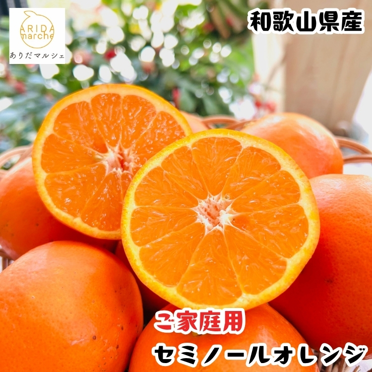 セミノールオレンジ（ご家庭用） 7.5kg+200g(補償分)｜ 柑橘 フルーツ 果物 くだもの 食品 人気 おすすめ 選べる 国産 美浜町