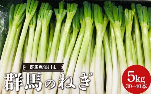 
            群馬のねぎ 5kg(30〜40本) 群馬県 渋川市 F4H-0542
          