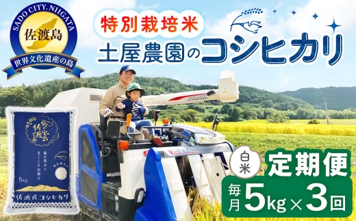 【3か月定期便 コシヒカリ】佐渡島産コシヒカリ 白米 合計15kg（5kg×毎月お届け全3回）令和8年産 新米 特別栽培米 | 新潟県産コシヒカリ 新潟産コシヒカリ 新潟コシヒカリ 佐渡産コシヒカリ 新潟県産こしひかり 佐渡産こしひかり お米 米 こしひかり 白米 精米 ブランド米 おこめ コメ 5キロ 世界農業遺産 にいがた さど 新潟県 佐渡市