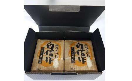 【令和7年産】佐渡高千産こしひかり　精米2kg×2袋　化粧箱入