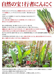 【ふるなびWEEK対象】ラムプレミアムセット（味噌300g×2＋醤油300g×2）ジンギスカン FN-Limited-PR