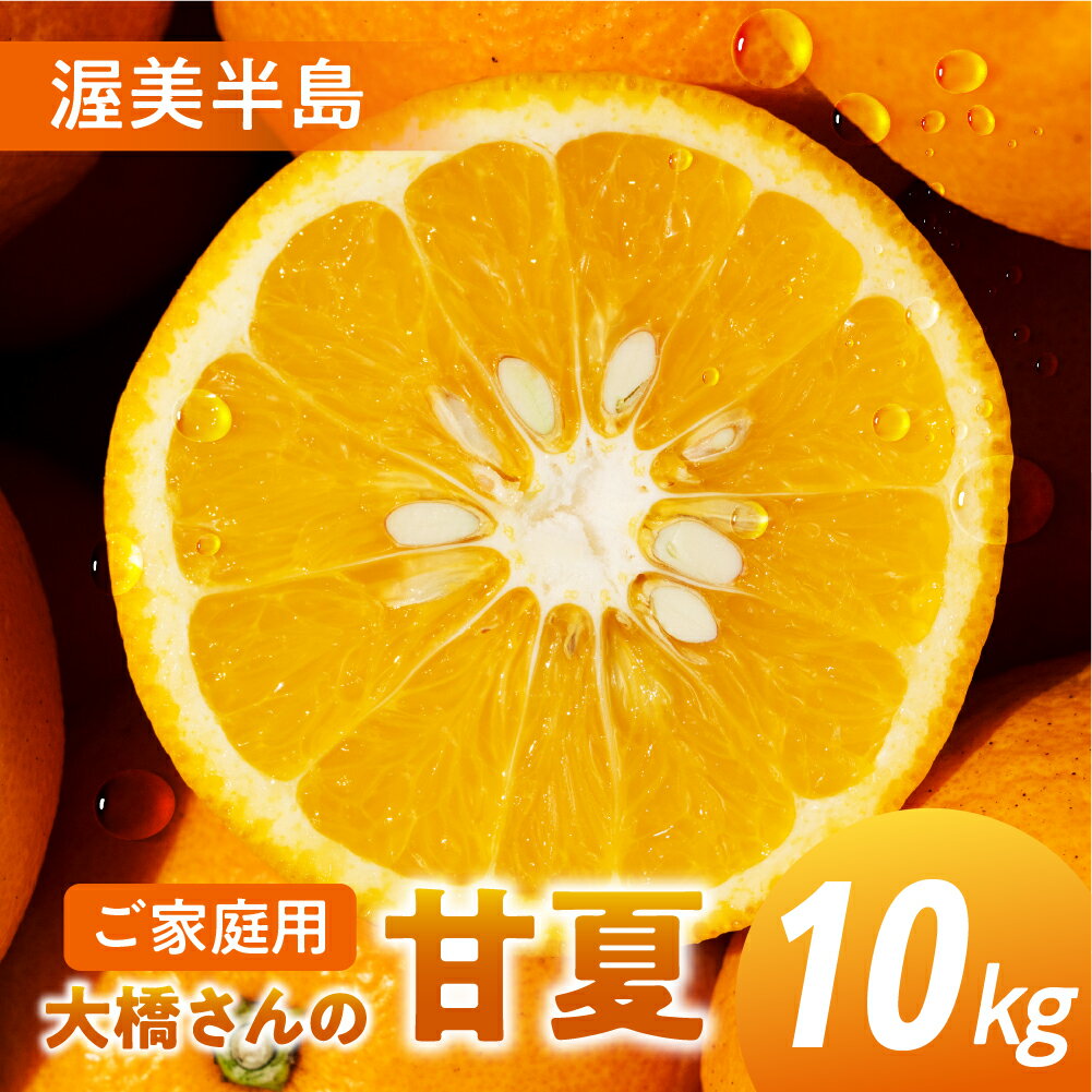 【ふるさと納税】大橋農園の ご家庭用 甘夏 10kg 甘夏 あまなつ 柑橘 柑橘類 フルーツ 果物 旬 訳あり ワケアリ 訳アリ 愛知県 田原市 渥美半島