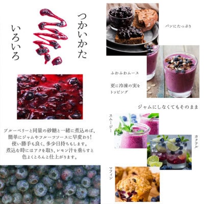 訳あり 無選別 冷凍ブルーベリー 4kg【配送不可地域：離島】【1646071】