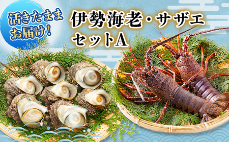 海鮮セット 活伊勢海老＆サザエ Aセット 活き伊勢海老 2～3匹 活サザエ 4～15匹 水産