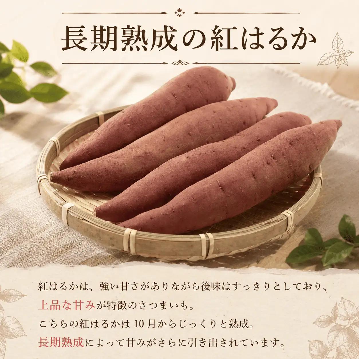 【2027年1月～3月順次発送】 さつまいも 紅はるか 熟成芋 約5kg さつまいも