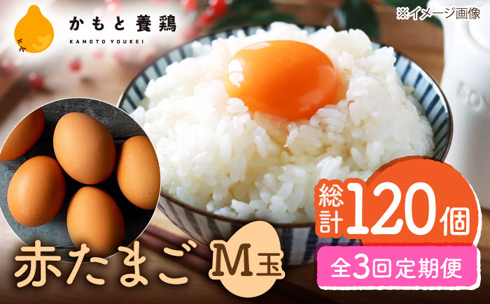【全3回定期便】 【化粧箱入り】赤たまご M玉 40個 (37個＋割れ保証3個)【株式会社 かもと養鶏】 [ZCA003]