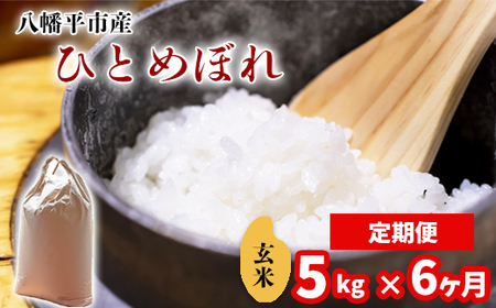 新米 先行予約 【令和8年産】 ひとめぼれ 玄米 5kg ×6ヶ月定期便 《2026年11月より順次発送開始予定》 ／ げんまい 岩手県産 中沢農産