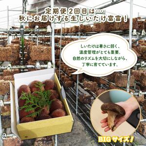 全2回 定期便 野菜 とうもろこし しいたけ 野菜 JGAP