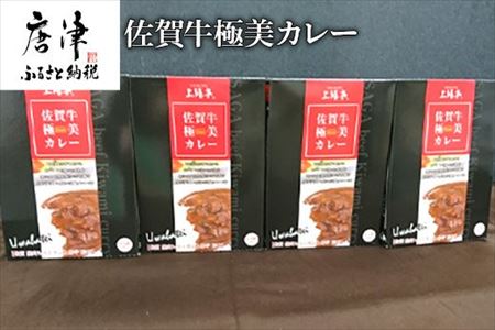 【ふるなび限定】佐賀牛 極美カレー ビーフカレー レトルト 牛肉 加工食品 惣菜 FN-Limited