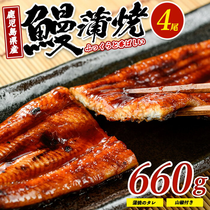 【ふるさと納税】【鹿児島県産】うなぎ蒲焼(無頭背開き)約165g×4尾(タレ・山椒付) うなぎ 鰻 ウナギ 鹿児島 国産 蒲焼き かばやき 冷凍 うな重 ひつまぶし【山中水産】