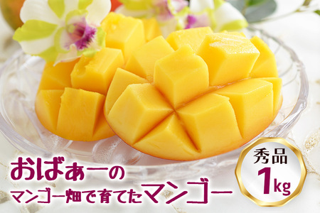【 先行予約 2026年 発送 】 おばぁーのマンゴー畑で育てた マンゴー 1kg ( 秀品 ) 沖縄県産 アップルマンゴー アーウィンマンゴー 1キロ 国産 完熟マンゴー 果物 くだもの フルーツ 完熟 夏 旬 沖縄 お取り寄せ 産地直送 農家直送 甘い 糸満市 17-6