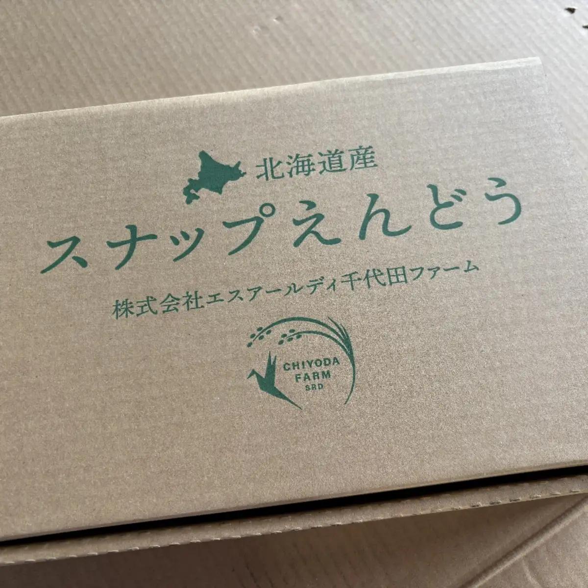 北海道産 スナップえんどう 訳あり1kg HOKBC004