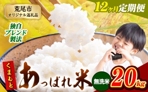 【12ヶ月定期便】熊本県産 くまもとあっぱれ米 ブレンド米 20kg 熊本県産 ふるさと納税 無洗米 精米 米 こめ ふるさとのうぜい コメ お米 おこめ《お申込み翌月から出荷》