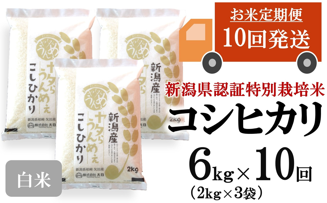 
            【先行予約・令和7年産新米・10ヶ月定期便】コシヒカリ 白米 6kg（2kg×3袋）×10回（計 60kg）ヤタらうんめぇお米 水田環境鑑定士在籍[Y0512]
          