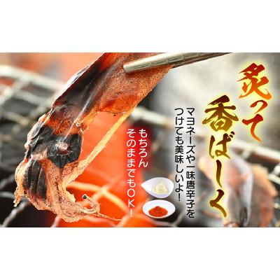 ふるさと納税 越前町 【のし付】ホタルイカ素干し　50g×5パック |  | 02