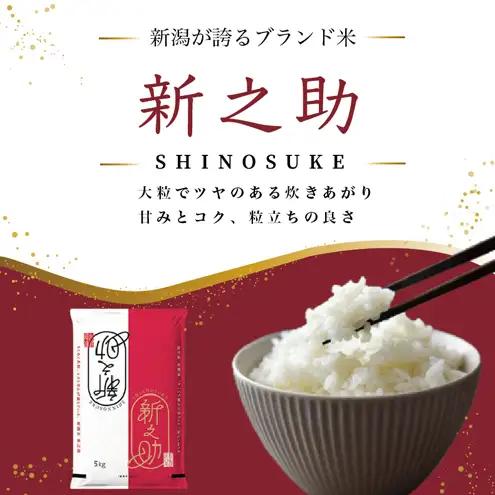 【先行予約・定期便3回配送】塩崎農場 新之助 精米 白米 送料無料 新之助 30kg