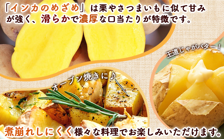 【越冬じゃが】インカのめざめ（混合）　14kg【83000202】