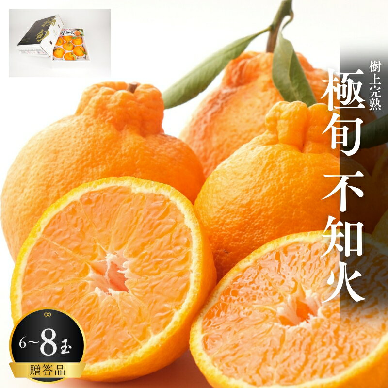 【ふるさと納税】【贈答用化粧箱入】 不知火 樹上完熟 約2kg （5～8個入）【2026年2月中旬頃から発送】【KG10】 | みかん 蜜柑 フルーツ 果物 くだもの 食品 人気 おすすめ 送料無料