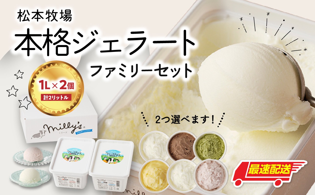 
            【お好みのフレーバー選べます！】 松本牧場 本格ジェラートファミリーセット（1リットル×2個　計2リットル） 選べる 全6種類  生乳 アイス 業務用 贅沢 ジェラート デザート スイーツ アイスクリーム 菓子 ２個 セット ミルク いちごミルク 抹茶 バニラ チョコ みかんシャーベット 佐賀県 玄海町【B109】
          
