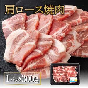 MCBY4-13 宮崎県産 豚肉詰め合わせ 焼肉セット（合計1.3kg）