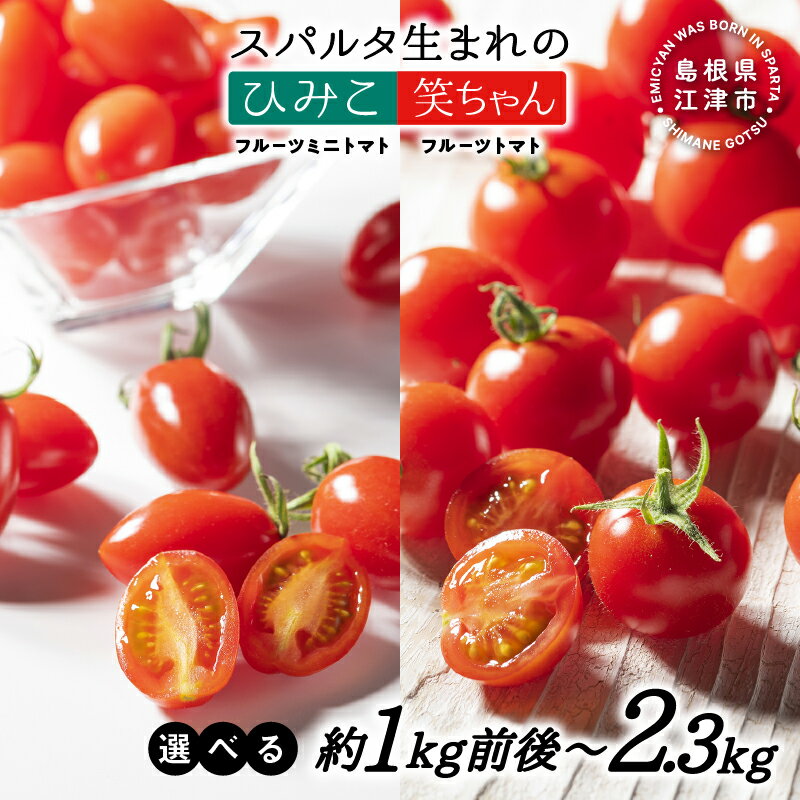 【ふるさと納税】【先行予約】スパルタ生まれのひみこ（フルーツミニトマト）スパルタ生まれの笑ちゃん（フルーツトマト）｜送料無料 産地直送 フルティカ 訳あり トマト ミニトマト フルーツトマト 甘い 人気 完熟 新鮮 野菜 サラダ 贈物 ギフト【種類と内容量を選べる】