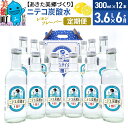 【ふるさと納税】《定期便6ヶ月》ニテコ炭酸水(レモン) 300ml×12本入 「水の郷」の炭酸水 ご当地炭酸水