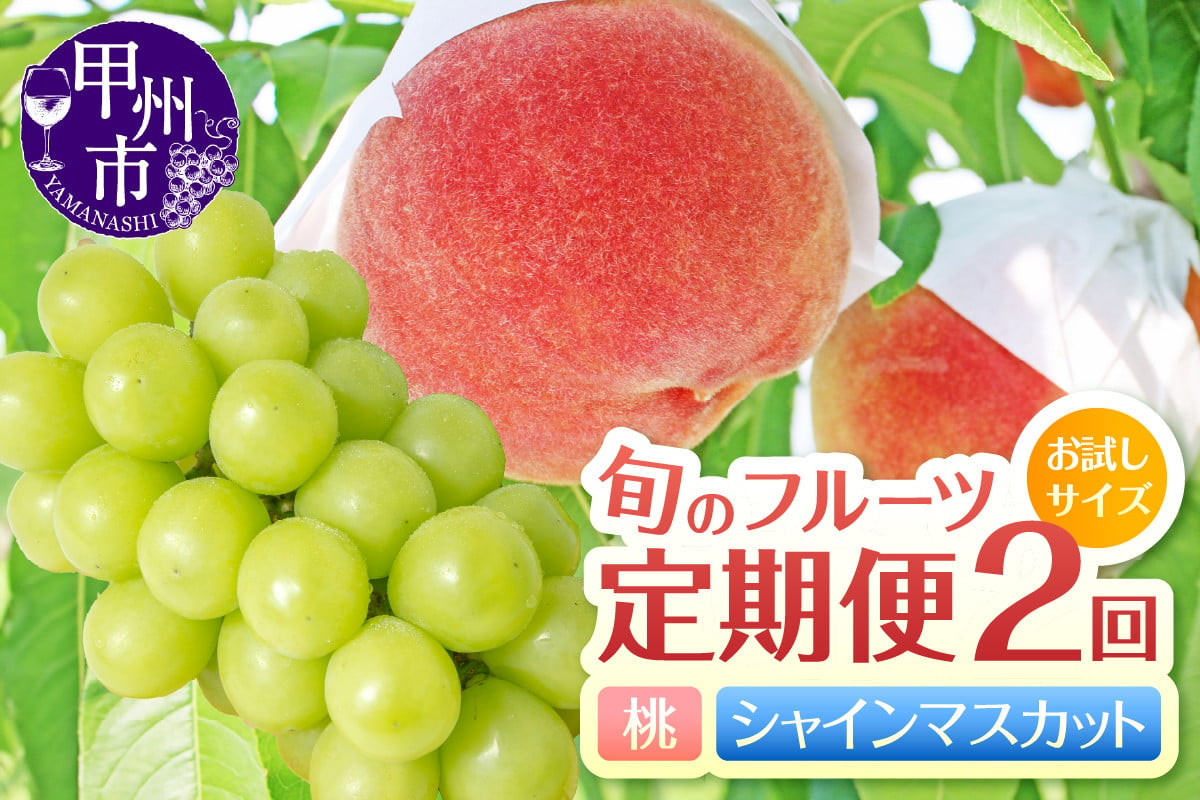 
            【定期便】【お試しサイズ】旬のフルーツ2回定期便（桃・シャインマスカット）【2025年発送】（HK）B16-440【桃 もも モモ シャインマスカット 葡萄 ぶどう ブドウ 令和7年発送 期間限定 山梨県産 甲州市 フルーツ 果物】
          