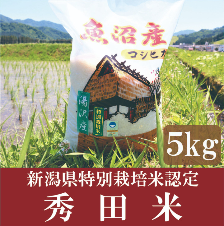 
令和6年産 新潟県特別栽培米認定！味とツヤにこだわった「秀田米」 精米5㎏【湯沢産コシヒカリ】
