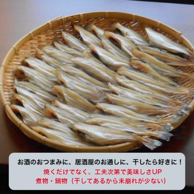 ふるさと納税 宮古市 姫タラ干　約1.5kg |  | 01