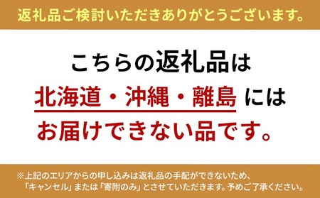 秀品！さぬき姫いちご　4パック(1パック約250g)