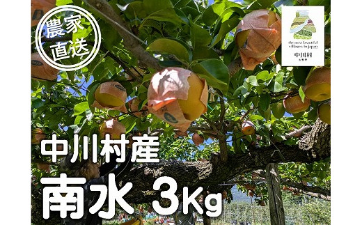 農家直送】森越農園のなし（南水）約３Kg