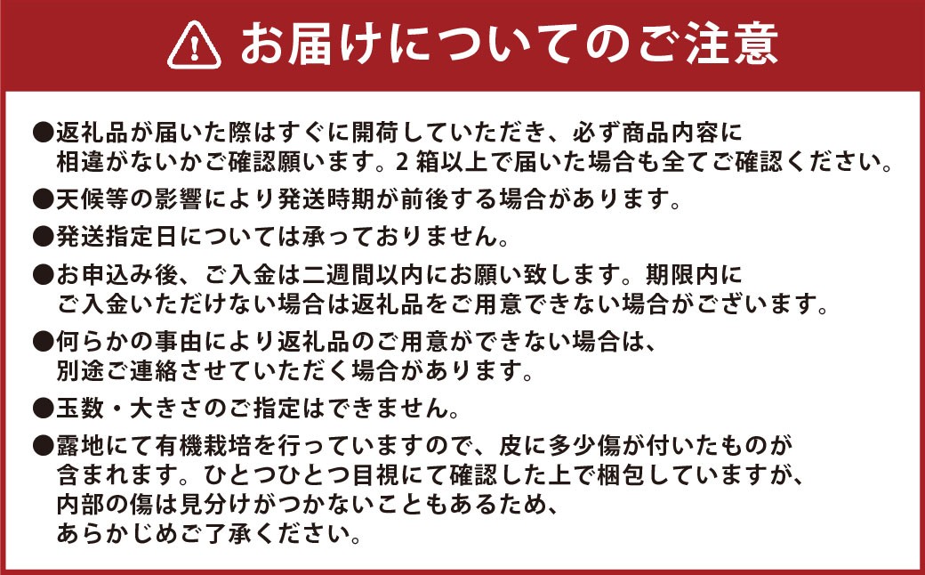 特選 みかん 5kg 糖度保証 12度！