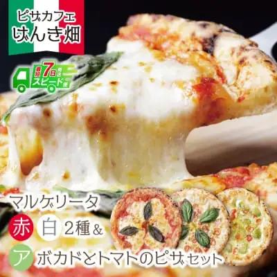 Z24-20 げんき畑 ピザ 3枚セット＜(赤・白)＆アボカドとトマトのピザ＞ ピザ
